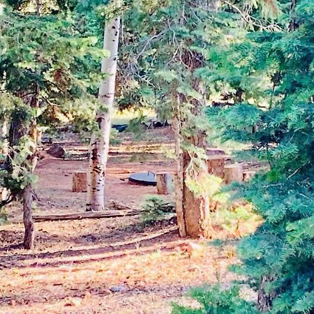 Adventure Awaits 3King Bed,2Bath Log Cabin In Heart Of Duck Creek Village! Exteriér fotografie